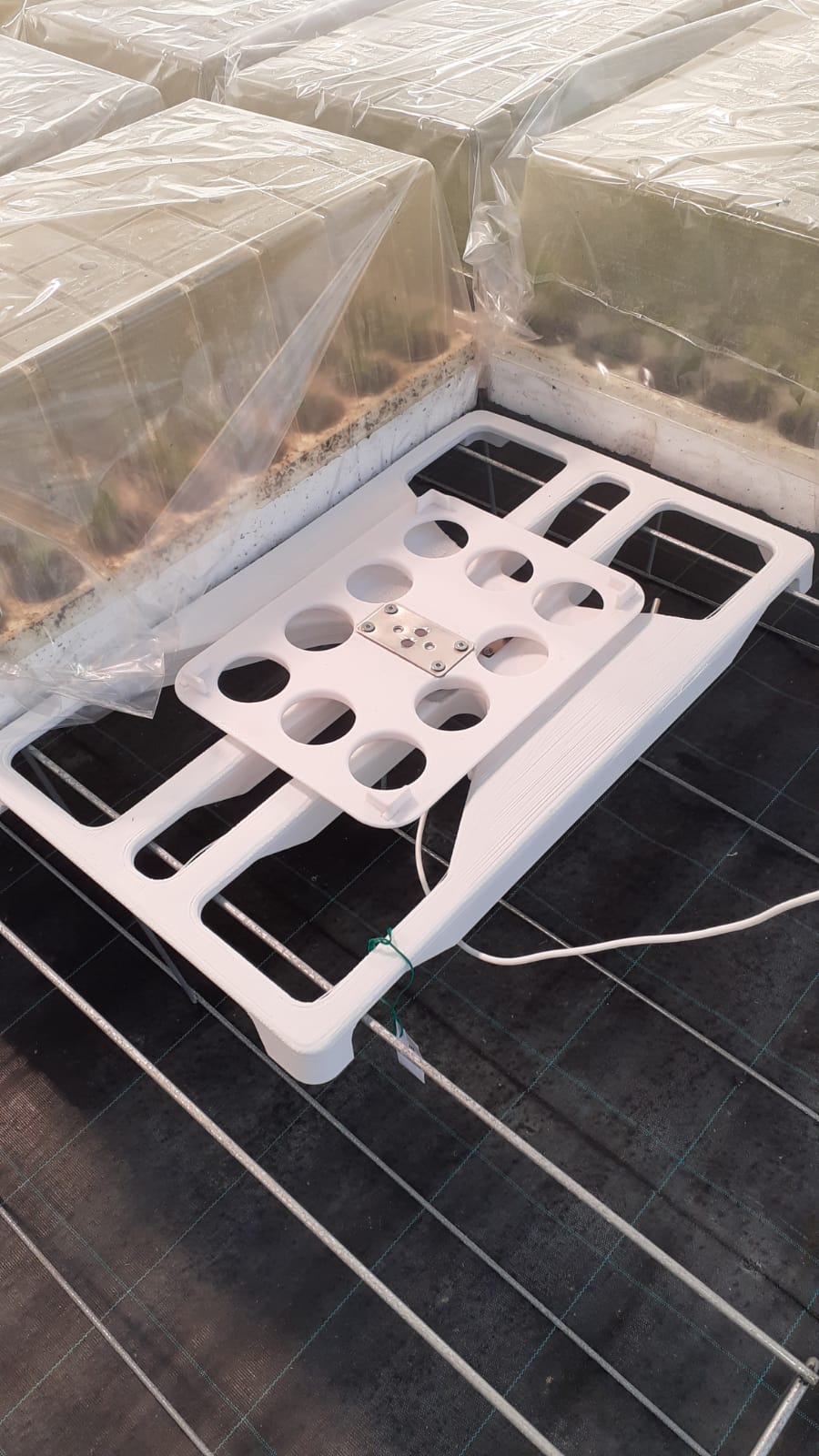 Vista bilancia GreenWeight