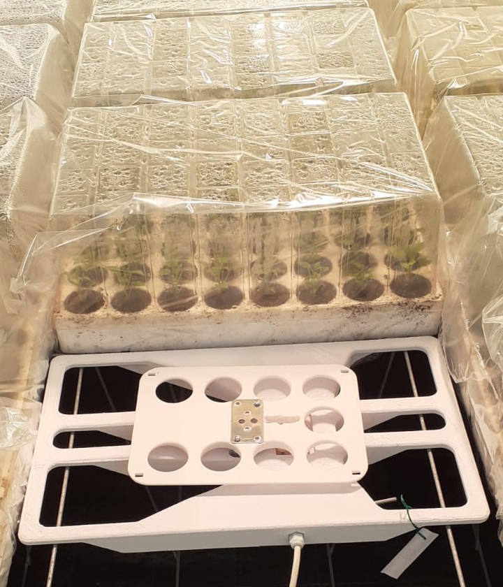 GreenWeight in uso